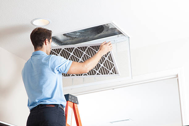 Best Local HVAC companies  in Snow Hill, MD